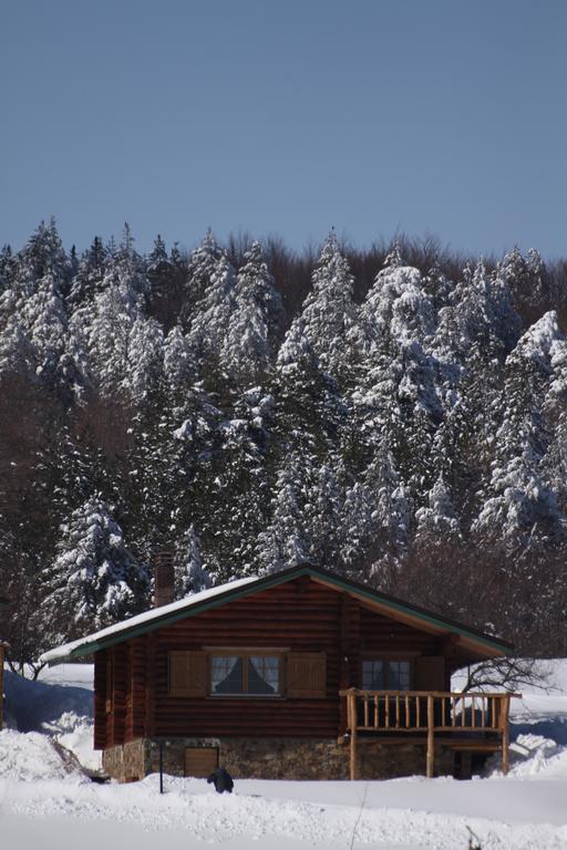 Sfendamos Wood Village Naousa  Exteriör bild