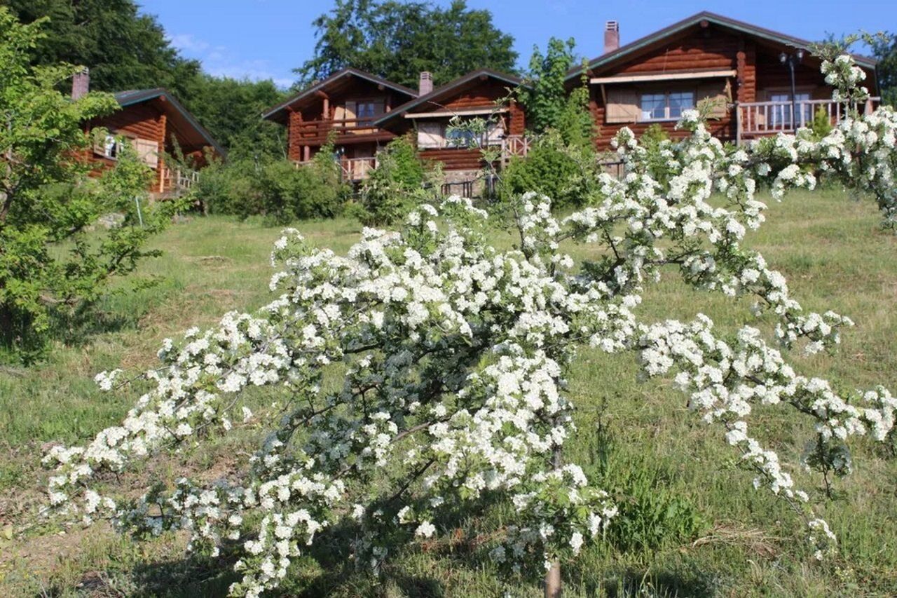 Sfendamos Wood Village Naousa  Exteriör bild
